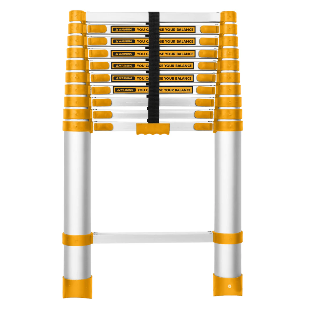 LADDERS